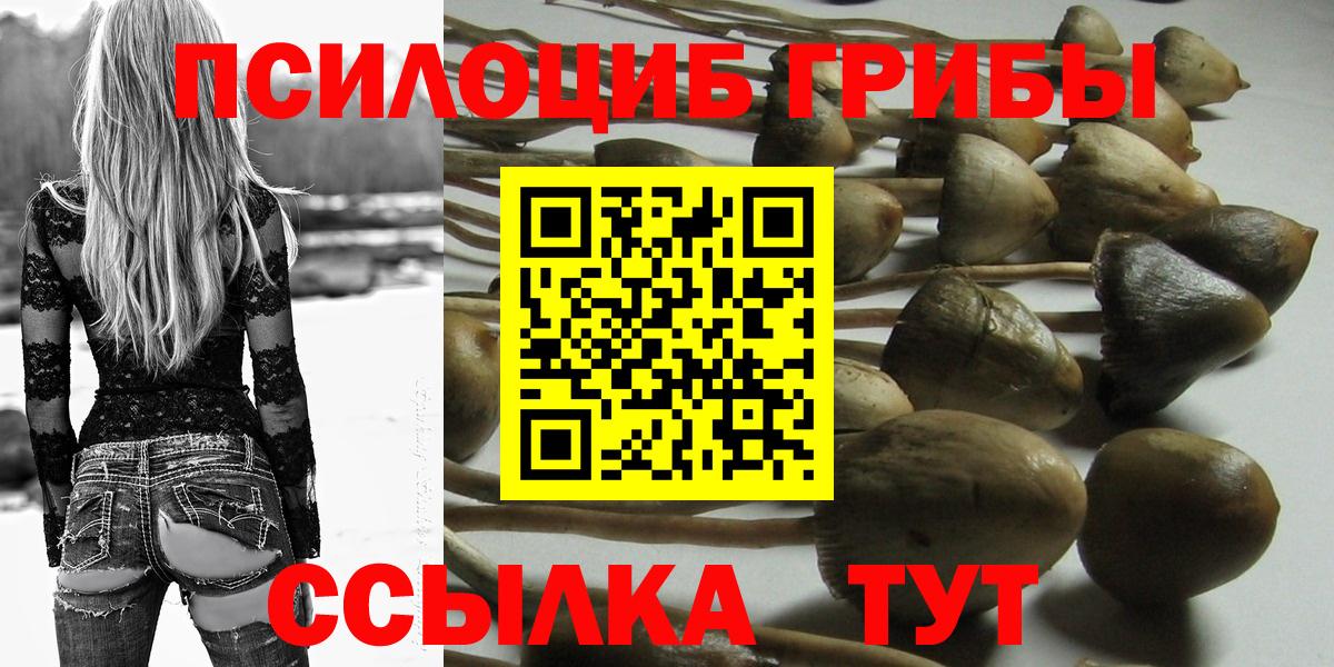 цена   Псилоцибиновые грибы MAGIC MUSHROOMS  Вход с VPN  Лиски 